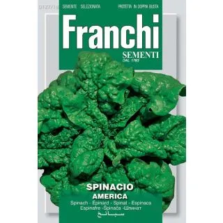 Compra ESPINACA AMERICA (14 gr.). en la tienda online Fito Agrícola