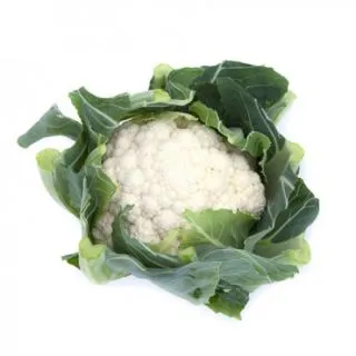 Compra COLIFLOR CHAMBORD RZ F1 Precisión (2.500 Semillas). en la tienda online Fito Agrícola