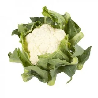 Compra COLIFLOR PONDERET RZ F1 Precisión (2.500 Semillas). en la tienda online Fito Agrícola