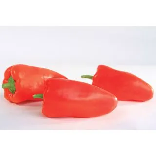 Compra PIMIENTO GYPSY F1 (250 Semillas). en la tienda online Fito Agrícola