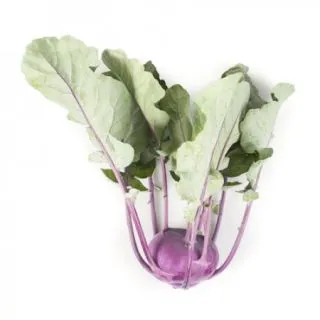 Compra COLIRRÁBANO UKZA RZ F1 Precisión (2.500 Semillas) en la tienda online Fito Agrícola