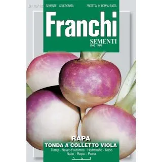 Compra NABO GLOBO BLANCO DE CUELLO VIOLETA (500 gr.). en la tienda online Fito Agrícola