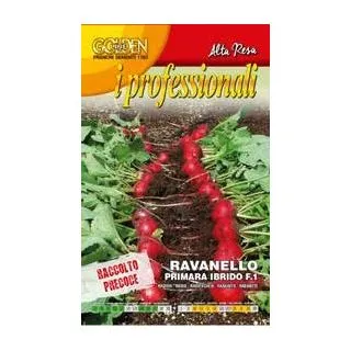 Compra RABANITO PRIMARA F1 (100 gr.). en la tienda online Fito Agrícola