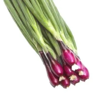 Compra CEBOLLA APACHE F1 Sin Tratar (25.000 Semillas) en la tienda online Fito Agrícola