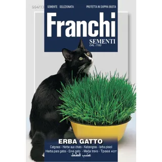 Compra SEMILLAS DE SIEMBRA PARA GATOS (500 gr.). en la tienda online Fito Agrícola