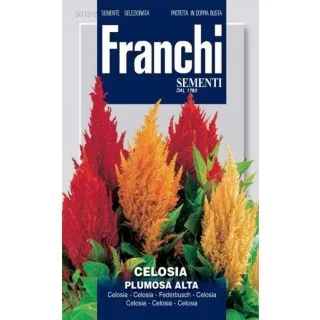 Compra CELOSÍA PLUMOSA VARIADA (50 gr.) en la tienda online Fito Agrícola