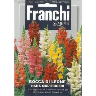 Compra ANTIRRINO ENANO TAPIZ MÁGICO MULTICOLOR (50 gr.). en la tienda online Fito Agrícola