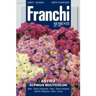 Compra ASTER ALPINO (10 gr.). en la tienda online Fito Agrícola