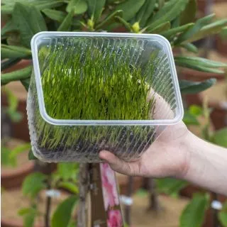 Compra APHIBANK 500 (Caja 3 l.) en la tienda online Fito Agrícola