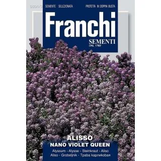 Compra ALISO ENANO VIOLET QUEEN (1 gr.). en la tienda online Fito Agrícola