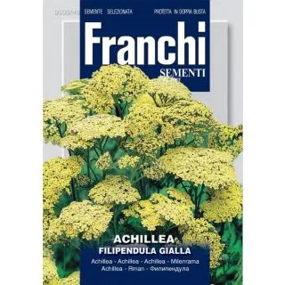 Compra ACHILLEA FILIPENDULA (10 gr.). en la tienda online Fito Agrícola