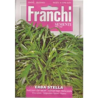 Compra HIERBA ESTRELLA (50 gr.). en la tienda online Fito Agrícola