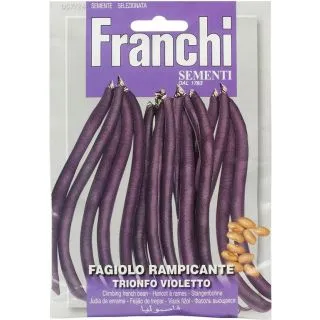 Compra JUDÍA TRIUNFO VIOLETA (100 gr.). en la tienda online Fito Agrícola