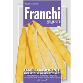 Compra JUDÍA MARAVILLA DE VENECIA GRANO BLANCO (5 Kgr.). en la tienda online Fito Agrícola