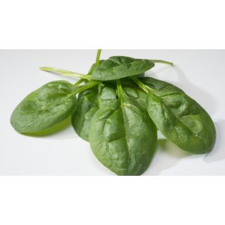 Compra ESPINACA DRACUS F1 BABY LEAF (1.000.000 Semillas) en la tienda online Fito Agrícola