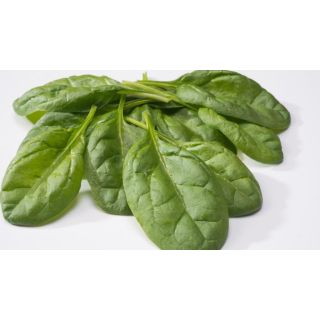 Compra ESPINACA SPIRICO F1 BABY LEAF (1.000.000 Semillas) en la tienda online Fito Agrícola
