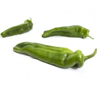 Compra PIMIENTO MASSOUDA RZ F1 Precisión (1.000 Semillas). en la tienda online Fito Agrícola