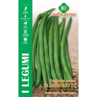 Compra JUDÍA SLENDERETTE (5 Kgr.). en la tienda online Fito Agrícola