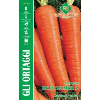 Compra ZANAHORIA BERLIKUMER (9 gr.). en la tienda online Fito Agrícola