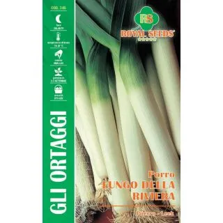 Compra PUERRO LARGO DE LA RIVIERA (Cerca de 1.500 Semillas). en la tienda online Fito Agrícola