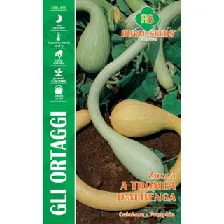 Compra CALABAZA TROMBA DE ALBENGA (3,5 gr.). en la tienda online Fito Agrícola