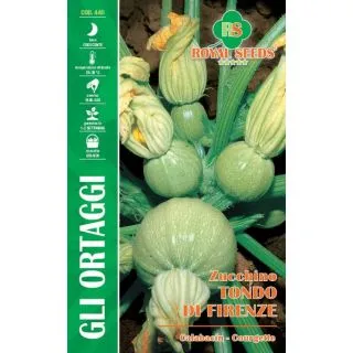 Compra CALABACÍN REDONDO DE FLORENCIA (9 gr.). en la tienda online Fito Agrícola