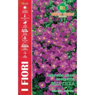 Compra AUBRETIA PÚRPURA (0,25 gr.) en la tienda online Fito Agrícola