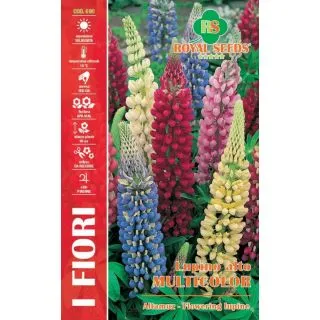 Compra ALTRAMUZ ORNAMENTAL MULTICOLOR (2 gr.). en la tienda online Fito Agrícola