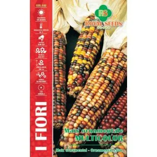 Compra MAÍZ ORNAMENTAL MULTICOLOR (6 gr.). en la tienda online Fito Agrícola