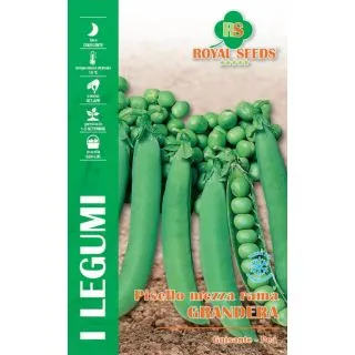 Compra GUISANTE GRANDERA (5 Kgr.) en la tienda online Fito Agrícola