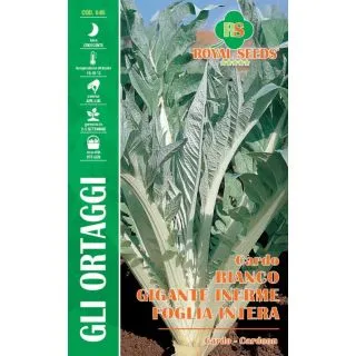 Compra CARDO BLANCO GIGANTE INERME A FOGLIA INTERA (3 gr.) en la tienda online Fito Agrícola
