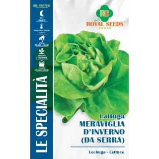 Compra LECHUGA MARAVILLA DE INVIERNO DA SERRA (5 gr.). en la tienda online Fito Agrícola