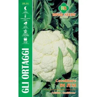 Compra COLIFLOR DE JESI (4 gr.). en la tienda online Fito Agrícola