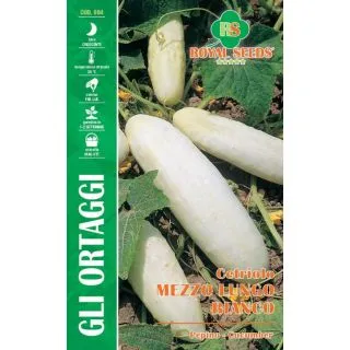Compra PEPINO MEDIO LARGO BLANCO (4 gr.). en la tienda online Fito Agrícola