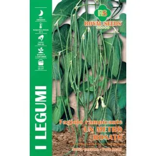 Compra JUDÍA STRINGA A GRANO BRUNO (50 gr.). en la tienda online Fito Agrícola