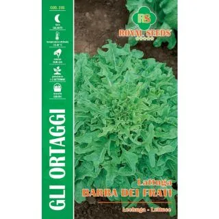 Compra LECHUGA BARBA DE LOS FRAILES (8 gr.). en la tienda online Fito Agrícola