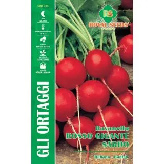 Compra RABANITO ROJO GIGANTE SARDO (15 gr.). en la tienda online Fito Agrícola