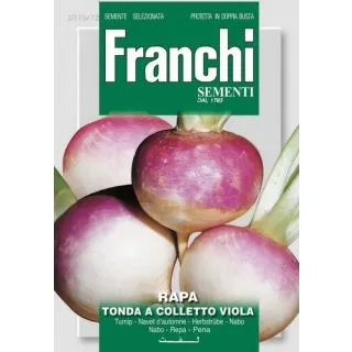 Compra NABO GLOBO BLANCO DE CUELLO VIOLETA (15 gr.). en la tienda online Fito Agrícola