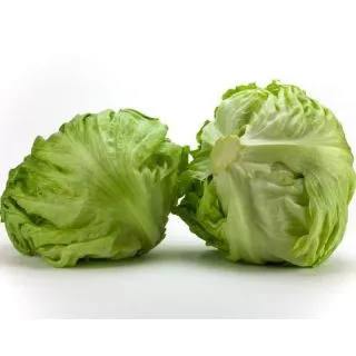 Compra LECHUGA ZASMIRA Píldora Sphera (25.000 Semillas) en la tienda online Fito Agrícola