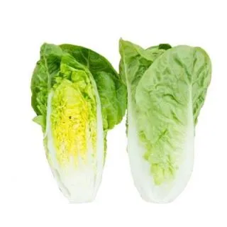 Compra LECHUGA CAPONATA Píldora Sphera (25.000 Semillas) en la tienda online Fito Agrícola