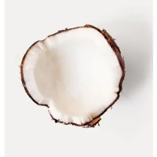 Compra NABO GLOBO BLANCO DE CUELLO VIOLETA (1 Kgr.). en la tienda online Fito Agrícola