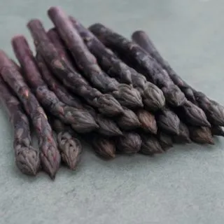 Compra ESPÁRRAGO ERASMUS Precisión - STQ (5.000 Semillas) en la tienda online Fito Agrícola