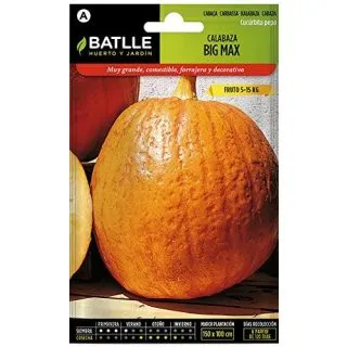 Compra CALABAZA BIG MAX (100 gr.). en la tienda online Fito Agrícola