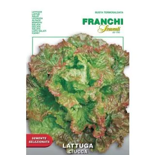 Compra LECHUGA CUICCA (4 gr.). en la tienda online Fito Agrícola