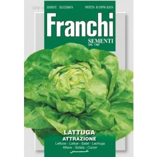Compra LECHUGA ATTRACTIE (8 gr.). en la tienda online Fito Agrícola