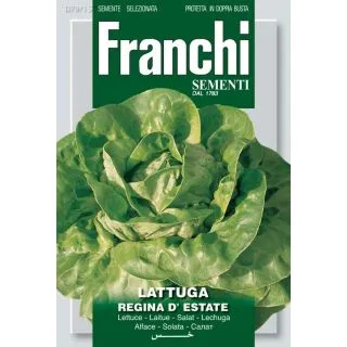 Compra LECHUGA REGINA D´ESTATE (9 gr.). en la tienda online Fito Agrícola