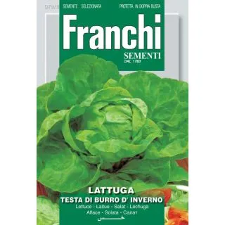 Compra LECHUGA TESTA DE BURRO DE INVIERNO (10 gr.). en la tienda online Fito Agrícola