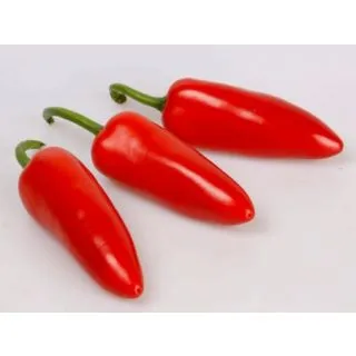 Compra PIMIENTO SUJAKI F1 (1000 Semillas). en la tienda online Fito Agrícola