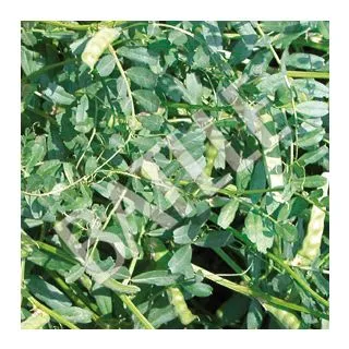 Compra VEZA SATIVA PRONTIVESA R1 (25 Kgr.). en la tienda online Fito Agrícola