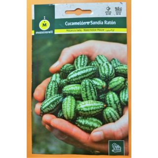 Compra CUCAMELÓN (0,05 Semillas) en la tienda online Fito Agrícola